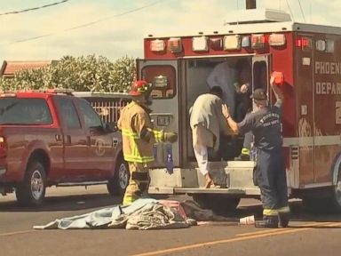 Watch:  At Least a Dozen People Injured in Arizona Bee Attack