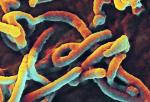 Second Ebola case confirmed in Liberia